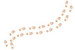 © Izzat - footprints shoe sole tracking path on transparent background, Shoes trail track vector illustrations