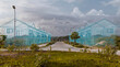 © Rendara Studio - Suburban housing development wireframe over empty asphalt road in tropical residential subdivision