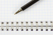 © photolink - Black pen on a notebook with sheets in a cage