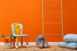 © New Africa - Child's chair and toys near orange wall in room