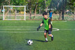 © chokniti - World cup concept with soccer ball or football player, young boy soccer goalkeeper sport field ball training green outdoor youth