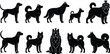 © Kirtan - Dog Silhouette Vector Set Featuring Multiple Breeds and Poses for Graphic Design, Illustrations, and Animations