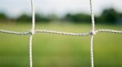 © Sukses - Close up of a soccer net against a blurred green field