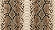 © Belalvect - Brown and black snake skin texture pattern background