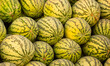 © Vera - Juicy Asian watermelons. A large pile of ripe watermelons lies in a field in the sunset light. A close-up of many watermelons.