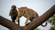 © O_studio - Leopard on a Branch Striking Feline Portrait in Natural Habitat.