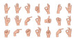 © Muqtadir - Set of eighteen realistic hand gesture illustrations showing common signs like thumbs up and pointing on a white base.