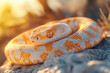 © Tetiana - Generative AI image of a coiled snake basking on warm rock surface in sunlight after emerging from winter hibernation