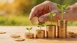 © Jacob - Hand placing gold coin onto stack with growing plant sprout, financial growth concept, investment savings accumulation, wealth building strategy, economic prosperity, money