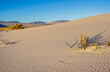© Billy McDonald - Morning Light on The White Sand Dunes With The San Andres Mountains, White Sands National Park, New Mexico, USA
