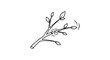 © Ciona - Broken Branch with Leaves and Sparkle Effect