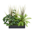 © farid4kbar - A variety of lush green indoor plants, including ferns, arranged in a modern black rectangular planter box on transparent  background.