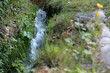 © Ilarialapreziosa - Piccolo ruscello di montagna con acqua limpida che scorre veloce in un canale artificiale o roggia tra prati verdi e vegetazione spontanea
