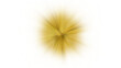 © VIGNESH - Abstract Golden Radial Sunburst Flare Background