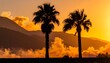 © Rizal - Golden sunset silhouettes palm trees against mountainous horizon, warm glow