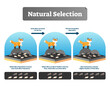 © VectorMine - Natural selection illustration, transparent background. Explained scheme with life evolution. Selective organic environment process with all species and humans.