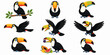 © Dede Studio - Toucans are eating fruits and perched on branches in tropical rainforest trees