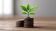 © buraratn - Growth of Nature and Wealth with Green Plant Emerging from Stacked Coins on Wooden Surface Representing Financial Prosperity and Sustainability