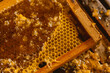 © Leonardo - Detalhe de favo de mel, com cores vibrantes e atraentes