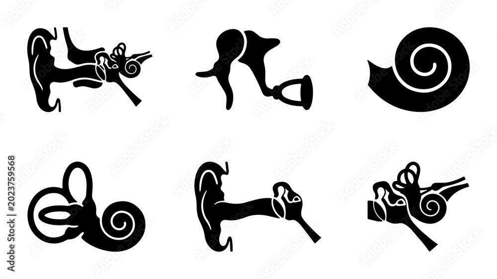Human Ear Anatomy Vector Icons: Auditory System Structures, Vestibular ...