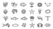 © BUDENGRMX - Vector Icons Collection of hand drawn sea life and marine animals icons. EPS Editable