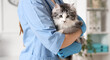 © Pixel-Shot - Female veterinarian holding cute cat after sterilization in vet clinic