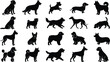 © MDSAMEUL - Collection of Dog Breed Silhouette Icons Set Featuring Various Domestic Canine Poses and Profiles