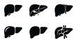 © Saif - Human Liver Anatomy Icons, Medical Health Symbols, Vector Silhouette Set for Healthcare and Science