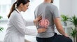 © MMerellinn - Nephrology problem assessment: kidney disease, renal dysfunction, body function, medical checkup, health concern, human anatomy, organ failure, ureter health.