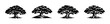 © 11ua - Collection of stylized black oak trees with dense foliage and strong roots