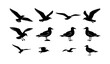 © Meerazul - Black silhouette seagull vector set with flying and standing coastal bird poses