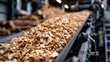 © Lubos Chlubny - Wood chips moving along industrial conveyor belt in sawmill