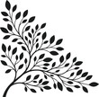 © Muhammad - Elegant branch illustration with leaves minimalist botanical design for branding