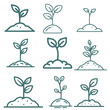 © springsullIllust - Plant Sprout Growth Stage Line Icon Set, Eco Business Growth Vector Illustration(새싹 식물 성장 과정 라인 아이콘 세트, 친환경 비즈니스 성장 벡터 일러스트)