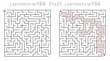 © Irina - Complex maze path 21x21 with solution. Solved maze vector for adults. Maze challenge with answers. Hard difficulty.