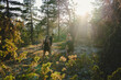 © Johnér - Male and female friends playing spikeball in forest at sunny day