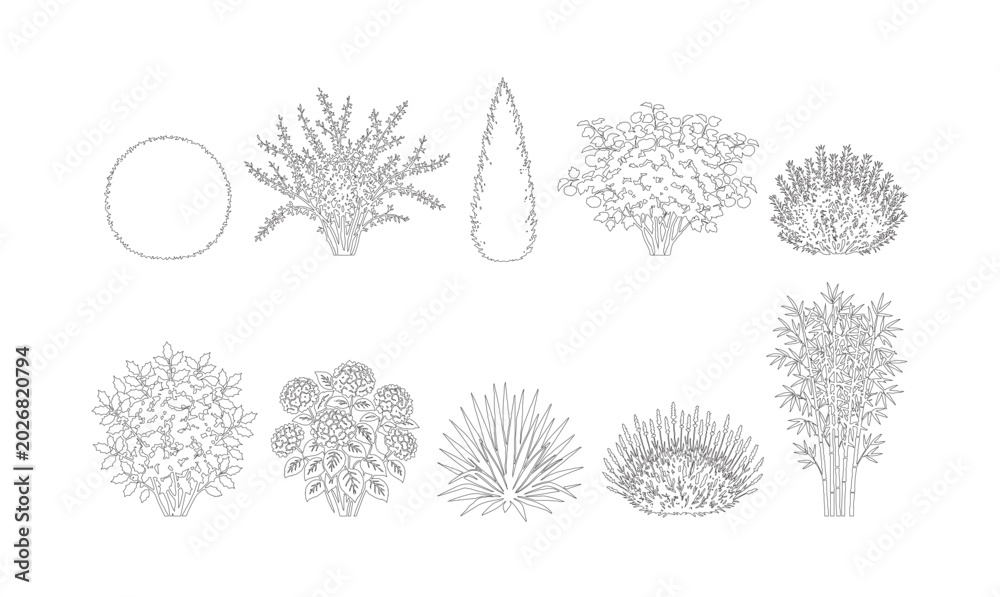 CAD line art ground cover and shrub top view plan set, outline plant ...
