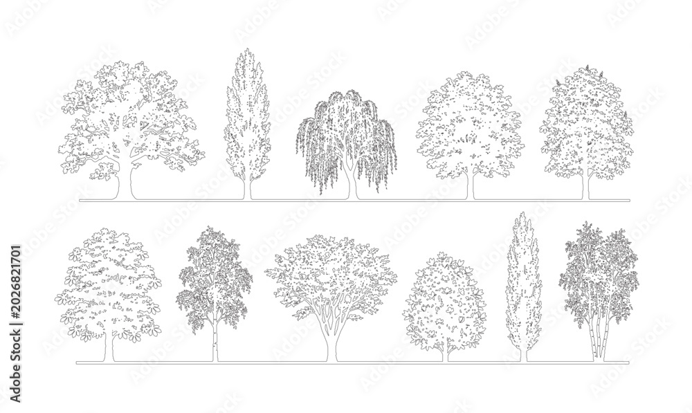 CAD line art mixed tree elevation mega set, outline symbols for ...