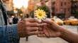 © Aurora Aesthetics - hand offering yellow daisy urban street kindness connection simple flower gift to stranger for community compassion romance gratitude friendship and positive city lifestyle storytelling