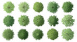 © map world - Top view tree set for landscape design, 15 green plant symbols for architectural site plans, overhead garden vegetation vector icons