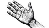 Open Palm Hand Drawing Isolated on Transparent Background Sketch