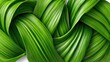 © Alfath - Intertwined, flowing ribbons of vibrant green foliage create a dynamic abstract background.