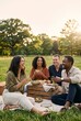 © RicardoLuiz - Happy Diverse Group of Friends Enjoying a Picnic and Wine in a Park at Sunset
