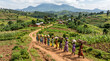 © pinan - Aerial view. A group of women and girls carrying stuff on their heads, Mbale, Uganda