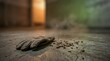 © Dmitry - Leather glove lying on concrete floor near rodent droppings. Hantavirus transmission risk and environmental safety hazard. Public health awareness and sanitation concept.