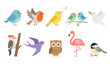 © MDSAKIB - Minimal spring birds set cartoon vector illustration isolated white background