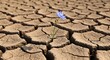 © Sirrexs  - A lone blue flower sprouts from cracked dry earth symbolizing hope and resilience.