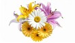 © Aliyan - 'Radiant bouquet of daisies and lilies blooms gracefully, celebrating nature’s harmony and vivid beauty.'