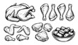 © MD - Hand drawn chicken parts illustration set whole chicken wings drumsticks vector