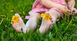 © Anna - Close-up of child barefoot feet with yellow dandelion flower on green grass in summer.